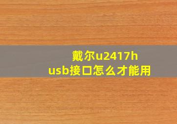 戴尔u2417h usb接口怎么才能用